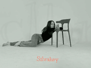 Silvakey