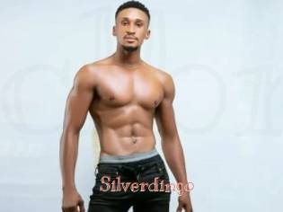 Silverdingo