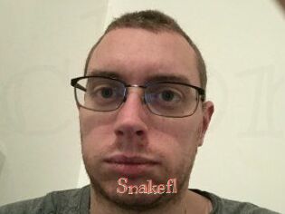 Snakefl