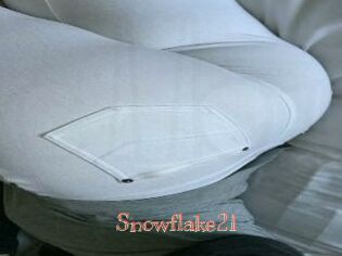 Snowflake21