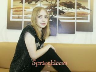 springbloom Celebrix