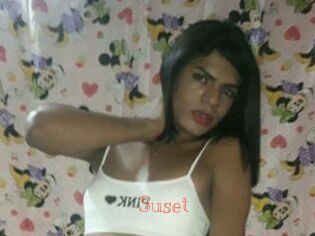 suset Celebrix