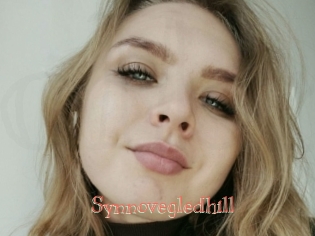 Synnovegledhill