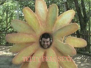 TEDDY_BEAR_SEXY