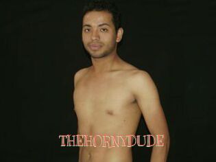 THEHORNYDUDE