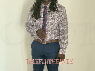 THIEFINTHENITE