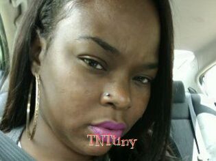 T_N_Ttiny