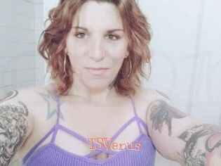 TS_Venus