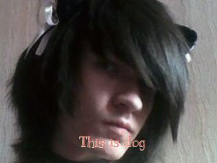 This_is_dog