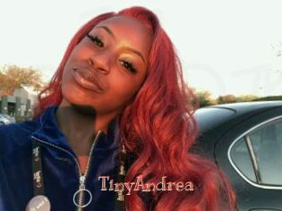 TinyAndrea