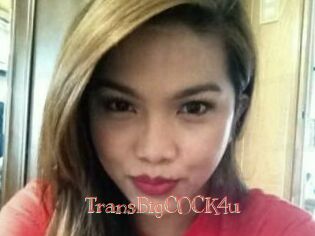 TransBigCOCK4u