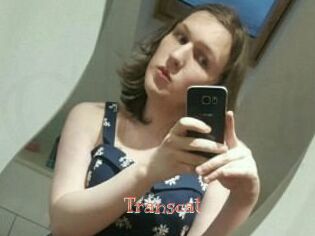 Transcat