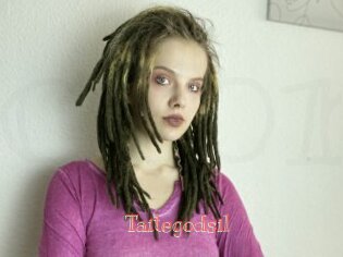 Taitegodsil