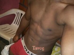 Tavog