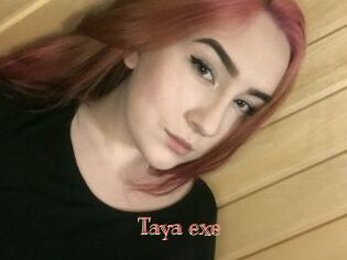 Taya_exe