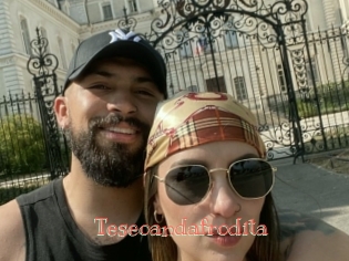 teseoandafrodita Celebrix