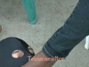 Texascameltoe