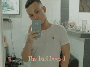 The_bad_boys_1