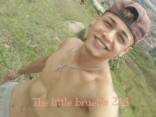 The_little_bruette_228