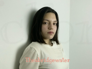 Theabridgewater