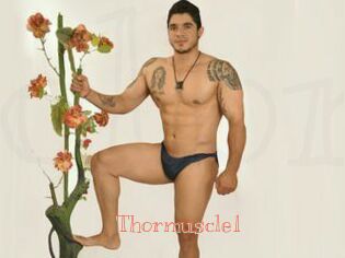 Thormuscle1