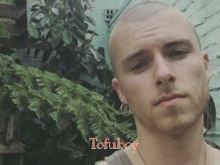 Tofu_boy