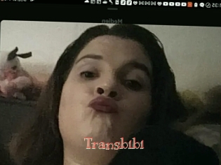 Transbibi