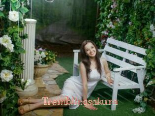 Tremblingsakura