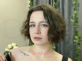 Trishrose