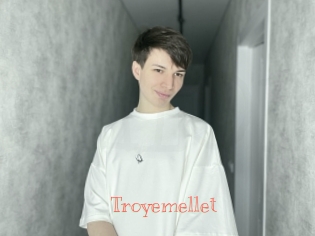 troyemellet Celebrix