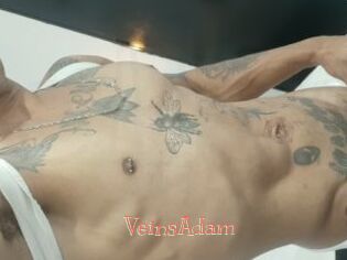VeinsAdam