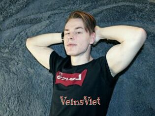 VeinsViet