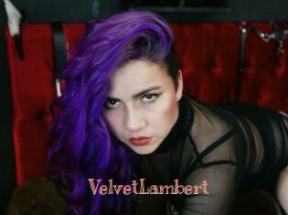 VelvetLambert Celebrix