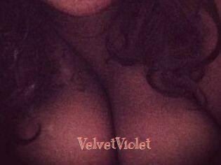 VelvetViolet