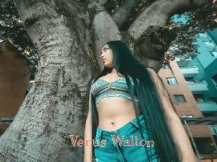 Venus_Walton