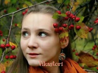 Vikastori