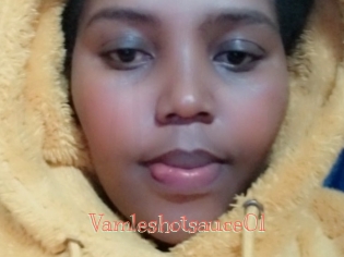 Vamleshotsauce01