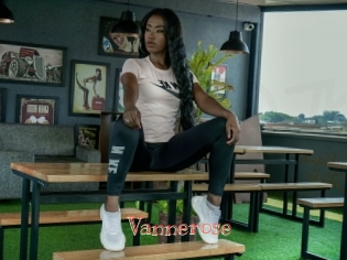 vannerose Celebrix
