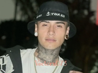 Vectorx073