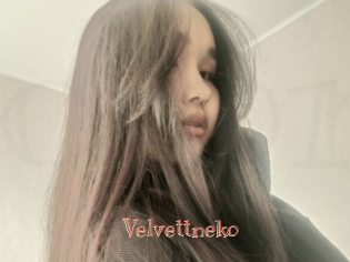 Velvettneko
