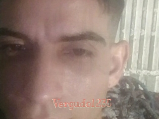 Vergudo1235