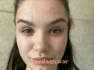 Vernitaasnicar