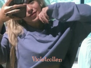 Violetcollen