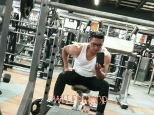 WILFREDO_P