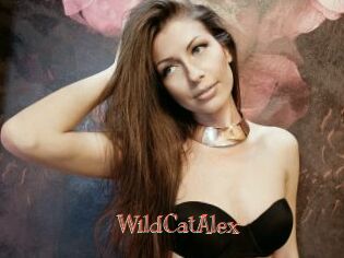 WildCatAlex