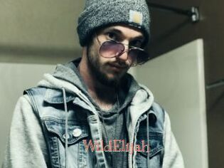 WildElijah