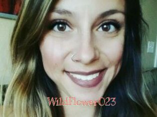 WildFlower023