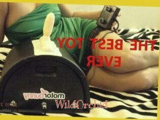 WildOrchid_