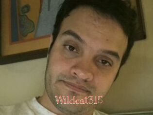 Wildcat315