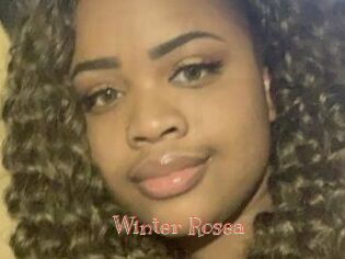 Winter_Rosea